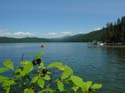 Priest Lake Area Photographs (299)