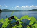 Priest Lake Area Photographs (302)