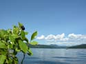 Priest Lake Area Photographs (323)