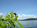 Priest Lake Area Photographs (324)