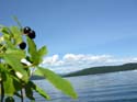 Priest Lake Area Photographs (325)