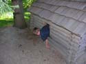 Priest Lake Area Photographs (332)