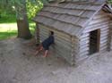 Priest Lake Area Photographs (333)