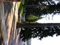 Priest Lake Area Photographs (335)