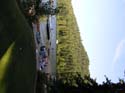 Priest Lake Area Photographs (341)