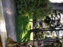 Priest Lake Area Photographs (347)