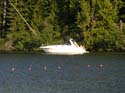 Priest Lake Area Photographs (349)