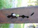 Priest Lake Area Photographs (358)