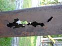 Priest Lake Area Photographs (359)
