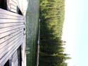 Priest Lake Area Photographs (361)
