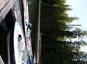 Priest Lake Area Photographs (362)