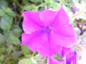 Priest Lake Area Photographs (392)
