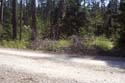 Priest Lake Area Photographs (4)