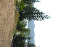 Priest Lake Area Photographs (400)
