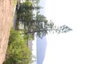 Priest Lake Area Photographs (401)