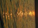 Priest Lake Area Photographs (448)