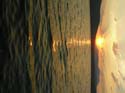 Priest Lake Area Photographs (455)