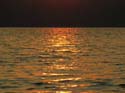 Priest Lake Area Photographs (473)