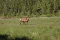 Priest Lake Area Photographs (5)