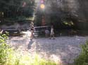 Priest Lake Area Photographs (502)