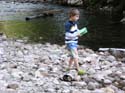 Priest Lake Area Photographs (506)