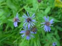 Priest Lake Area Photographs (508)