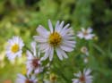 Priest Lake Area Photographs (509)