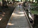 Priest Lake Area Photographs (515)