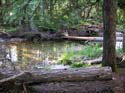 Priest Lake Area Photographs (518)