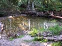 Priest Lake Area Photographs (519)