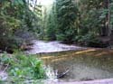 Priest Lake Area Photographs (525)