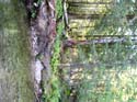Priest Lake Area Photographs (533)
