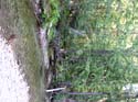 Priest Lake Area Photographs (535)