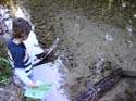 Priest Lake Area Photographs (545)