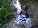 Priest Lake Area Photographs (546)