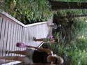 Priest Lake Area Photographs (547)