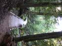 Priest Lake Area Photographs (549)