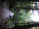 Priest Lake Area Photographs (550)