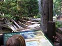 Priest Lake Area Photographs (552)
