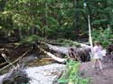 Priest Lake Area Photographs (555)