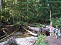 Priest Lake Area Photographs (556)