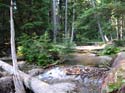 Priest Lake Area Photographs (557)
