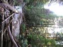 Priest Lake Area Photographs (558)