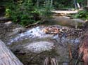 Priest Lake Area Photographs (561)