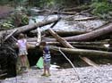 Priest Lake Area Photographs (565)