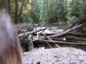 Priest Lake Area Photographs (566)