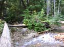 Priest Lake Area Photographs (568)