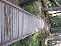 Priest Lake Area Photographs (569)