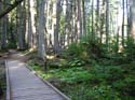 Priest Lake Area Photographs (570)