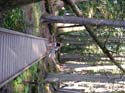 Priest Lake Area Photographs (571)